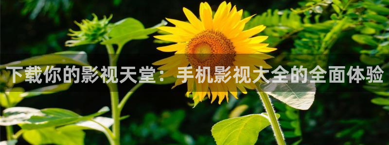 泡泡影视片哈