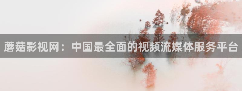 泡泡影视电影天堂手机版