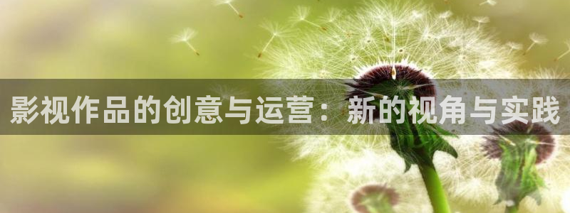 泡泡小视频app：影视作品的创意与运营：新的视角与实践