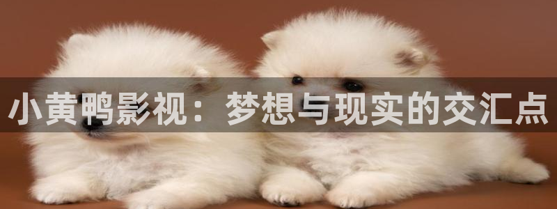 泡泡影视天堂网：小黄鸭影视：梦想与现实的交汇点