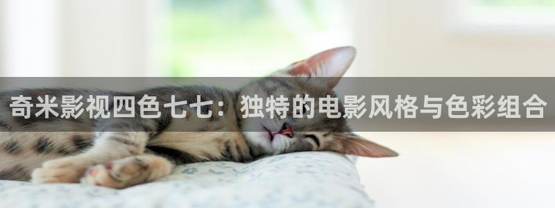 忍者神龟泡泡影视：奇米影视四色七七：独特的电影风格与色彩组合