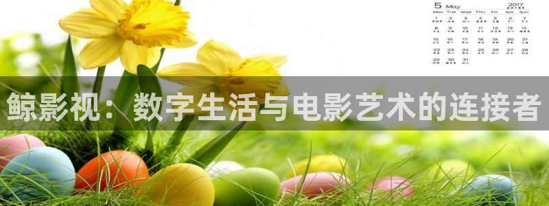 泡泡猪影视：鲸影视：数字生活与电影艺术的连接者