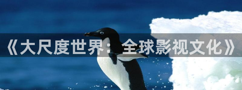 泡泡影视手机大全：《大尺度世界：全球影视文化》