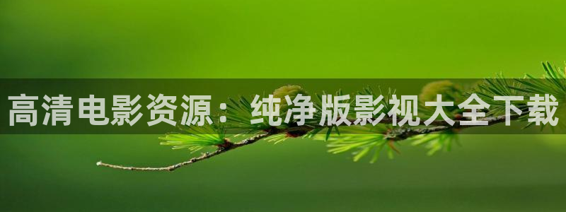 泡泡的电影