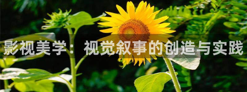 泡泡影视电影电视