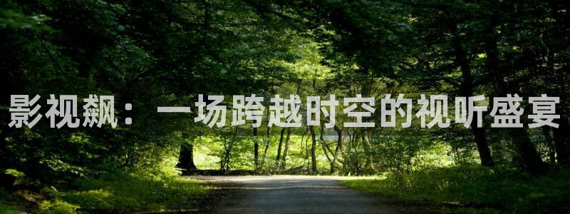 泡泡影视免费观看：影视飙：一场跨越时空的视听盛宴